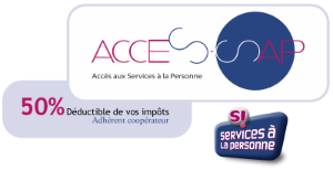 Beslou Paysage Paysagiste Cesson Sevigne ACCES SAP Logo 1
