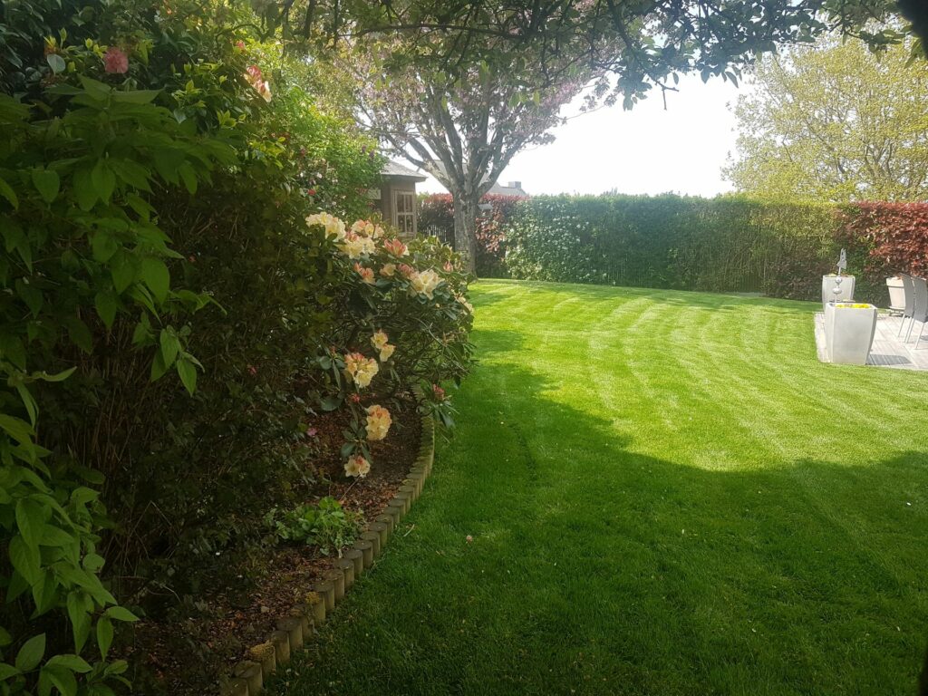 Beslou Paysage Paysagiste Cesson Sevigne Entretien De Jardin 3